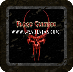 Blood Culture Logo